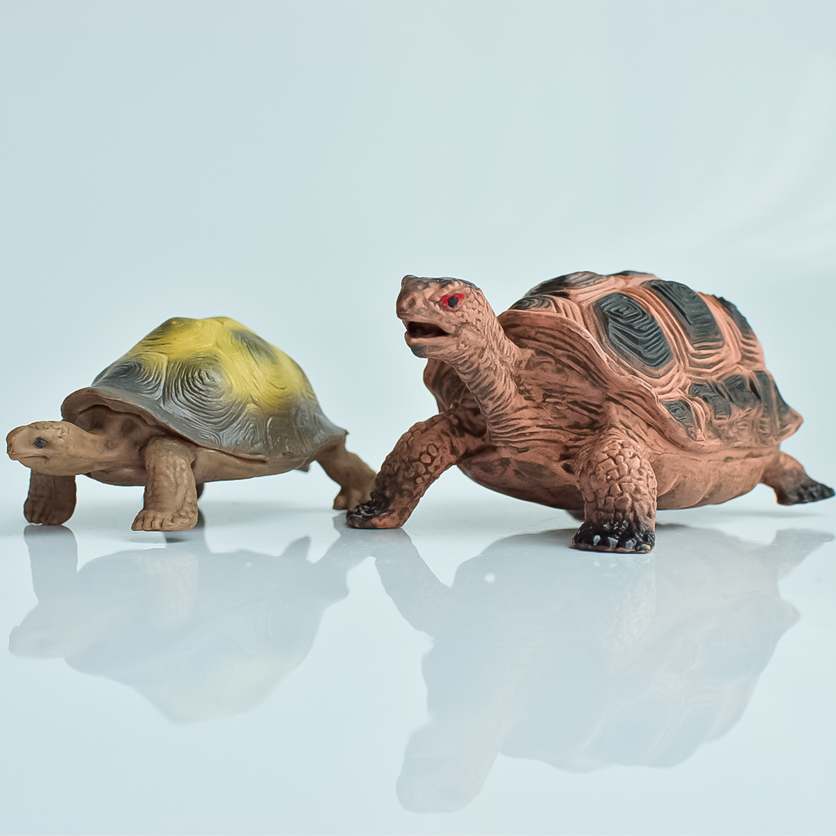 Aquarium Marine Fish - Painted Realistic Animal Turtle | Aquatic
