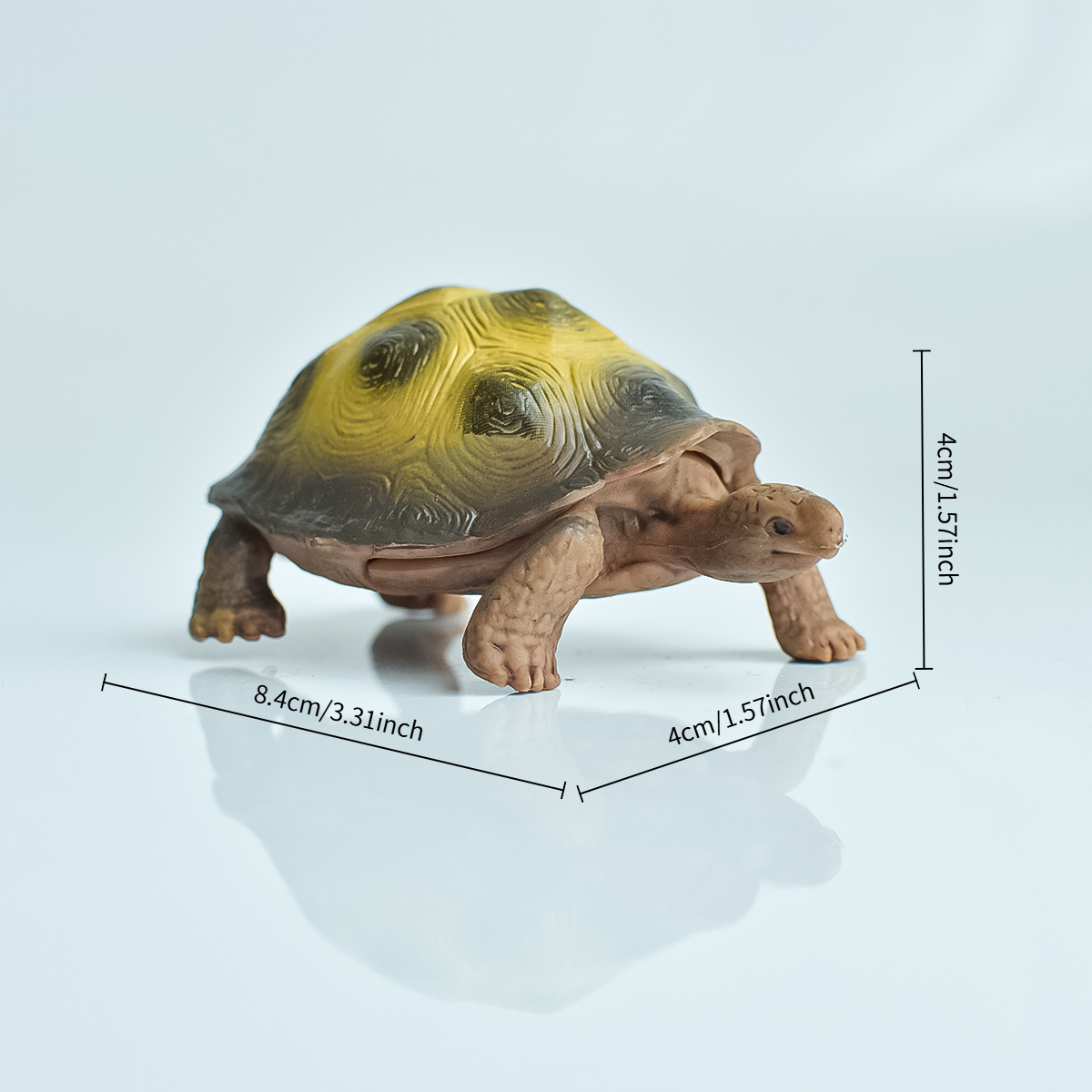 Painted Realistic Animal Turtl - Aquarium Marine Fish ulasan dan harga