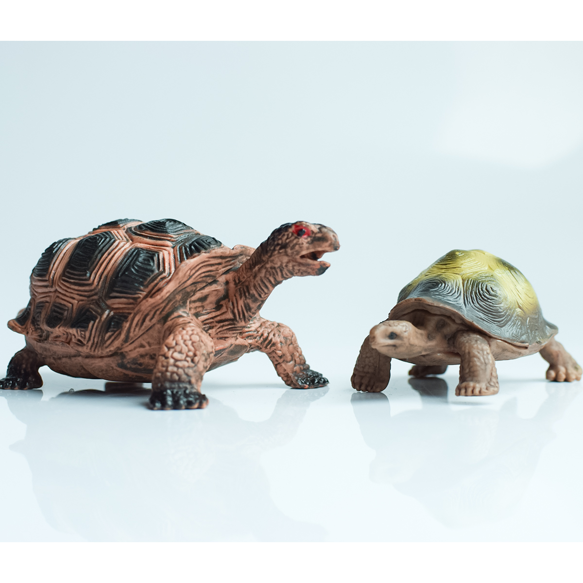 Painted Realistic Animal Turtl - Aquarium Marine Fish ulasan dan harga