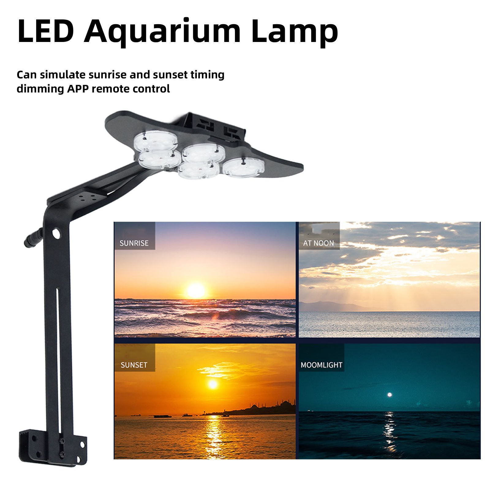 LED Marine Aquarium Coral Aqua - Marine Aquarium Tanks ulasan dan harga