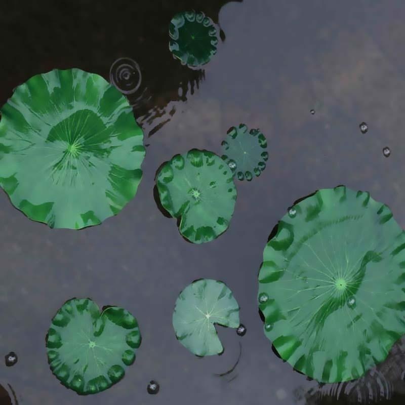 2026 Artificial Water Lily Lot - Aquarium Marine Fish ulasan dan harga