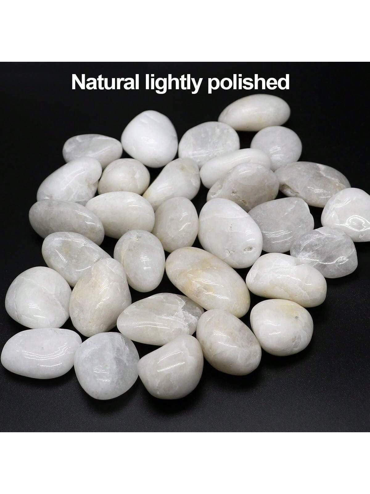 River Rocks Decorative Ornamen - Marine Aquarium Tanks ulasan dan harga