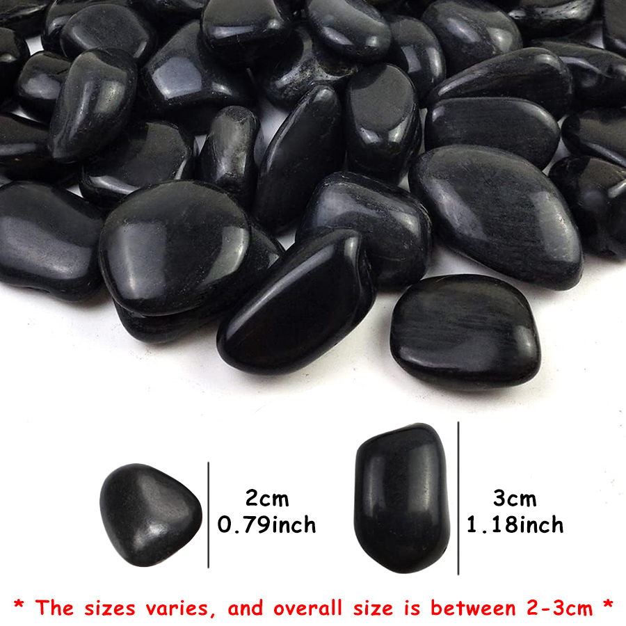 200g Black High Polished Natur - Aquarium Marine Fish ulasan dan harga