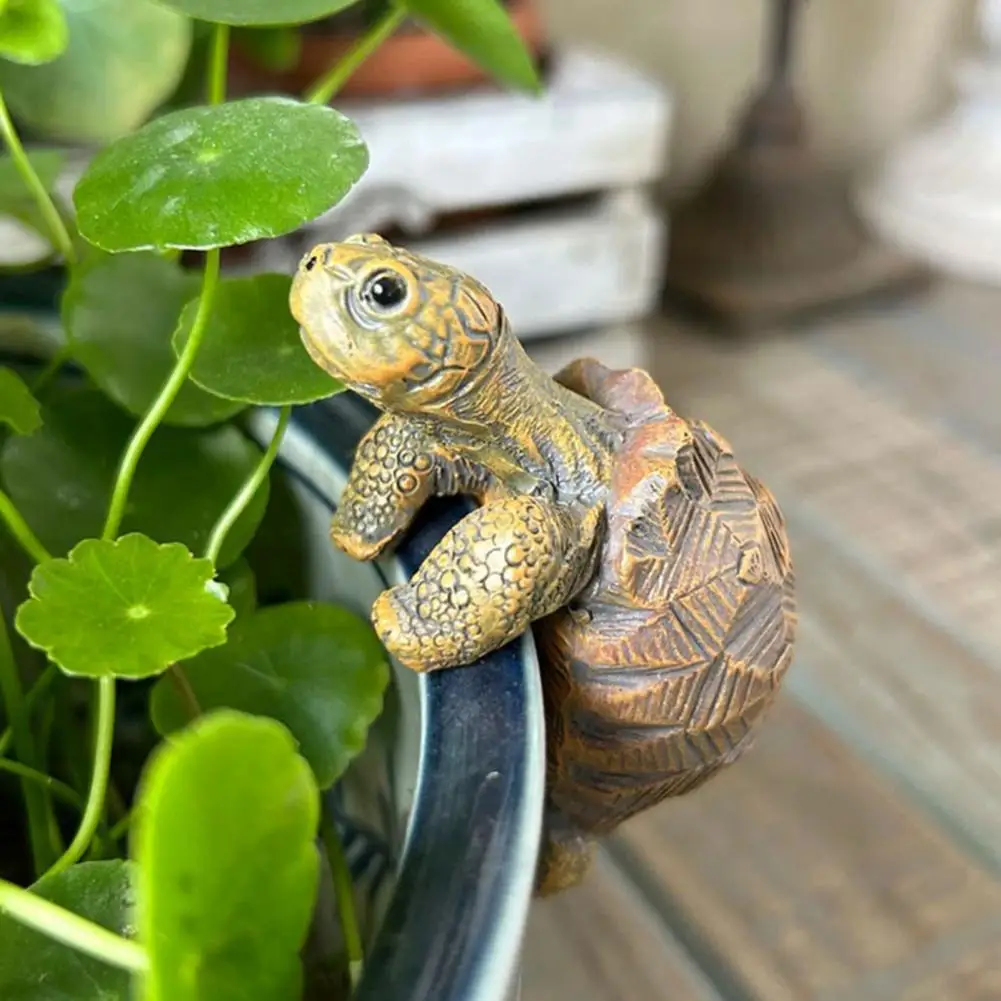 Fishing Turtle Hanging Turtle  - Aquarium Marine Fish ulasan dan harga