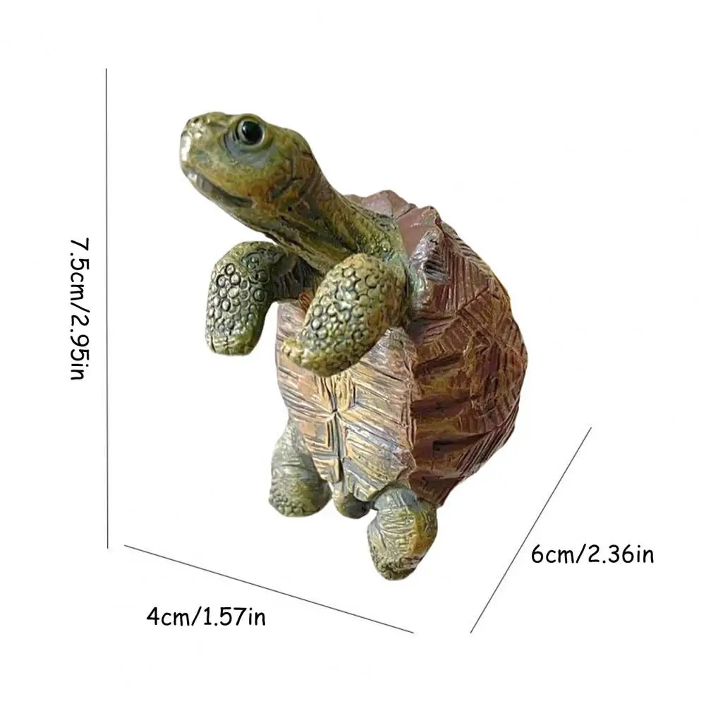 Fishing Turtle Hanging Turtle  - Aquarium Marine Fish ulasan dan harga