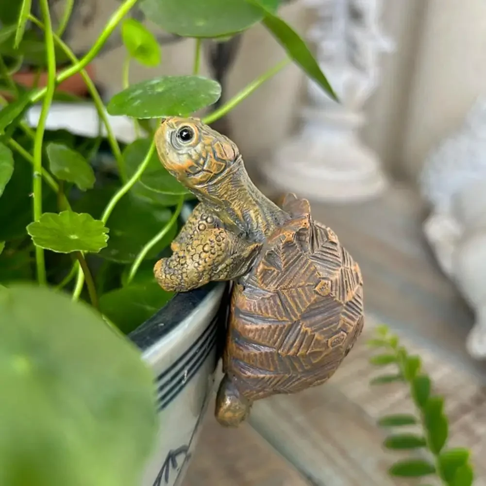 Fishing Turtle Hanging Turtle  - Aquarium Marine Fish ulasan dan harga