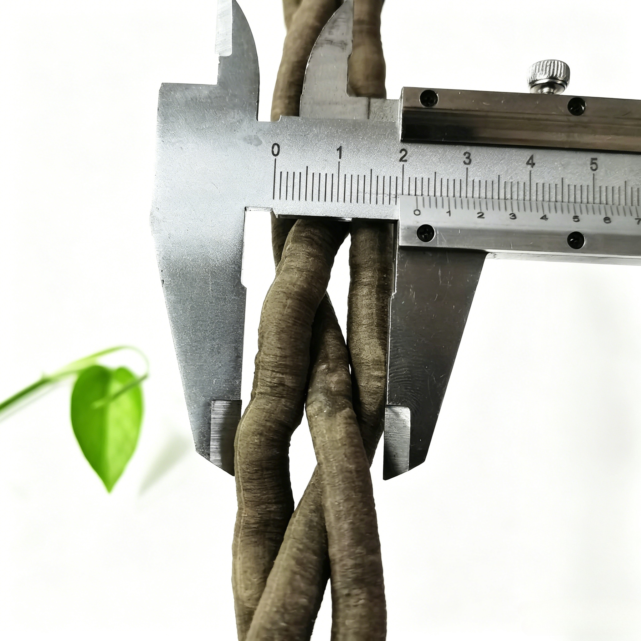 100cm Artificial Vine Fake Pla - Aquarium Marine Fish ulasan dan harga